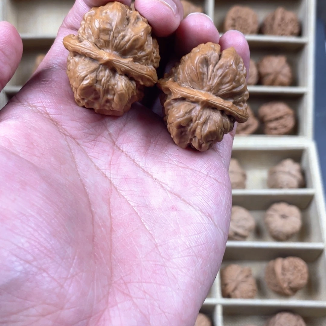 文玩核桃把件边36肚40四开背蛤蟆头002