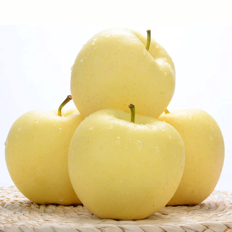 【自然搭档】山东奶油富士黄苹果4.5斤当季新鲜水果 香甜可口tz