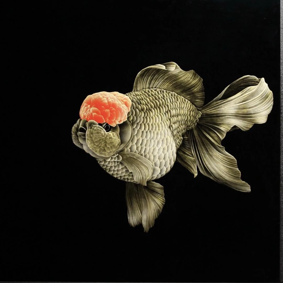 忘辞兰寿高端定制马印灯直播