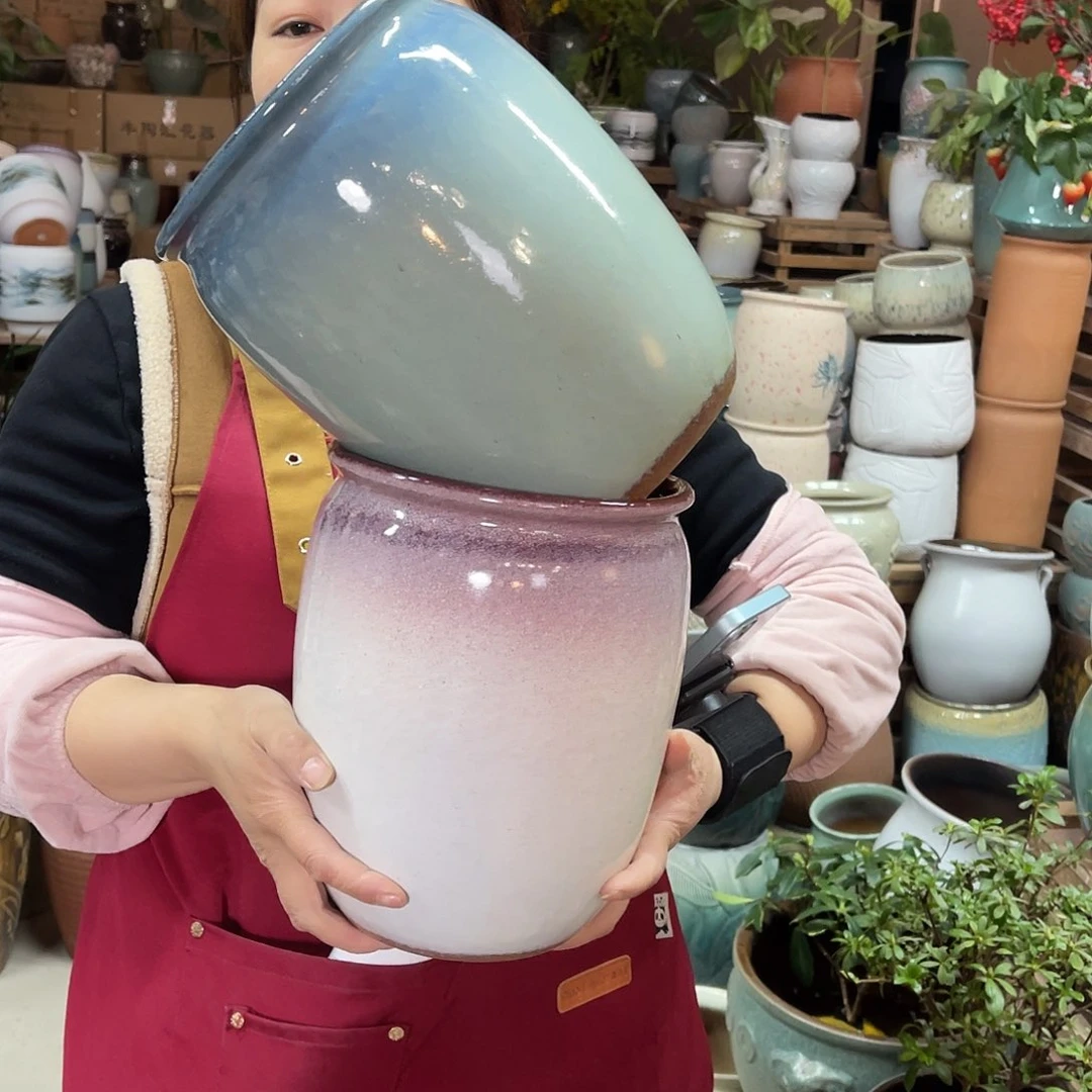 红陶高度25口径19
