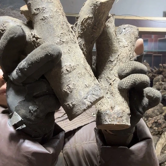 香榧木天*～火琉璃的毛料摆件