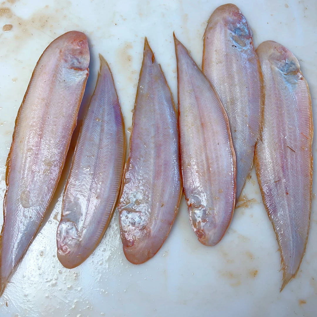 海捕龙利鱼舌头鱼踏板鱼舌鳎鱼生鲜海鲜鳎目鱼宝宝辅食