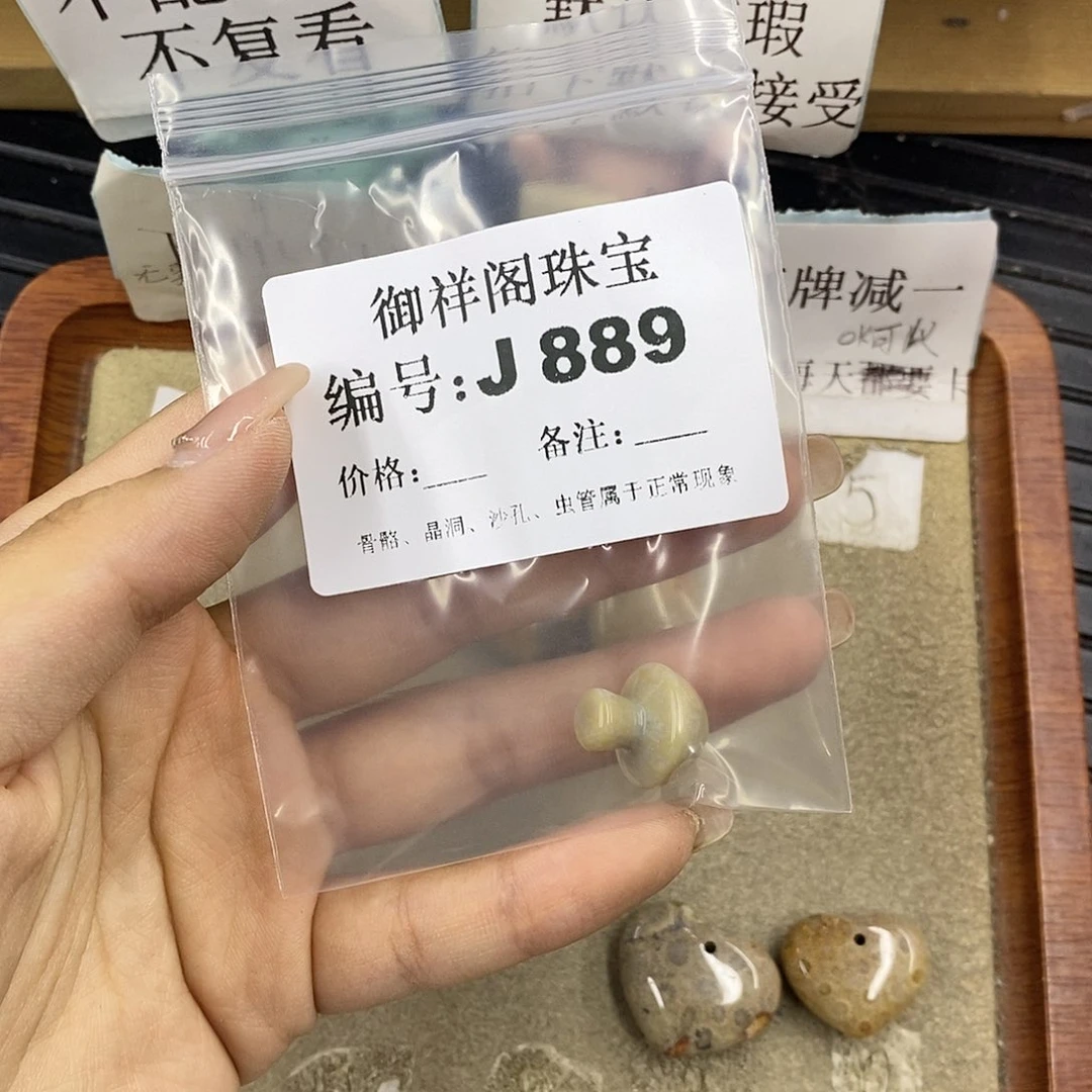 硅化珊瑚（珊瑚玉）未镶嵌颈饰你****！