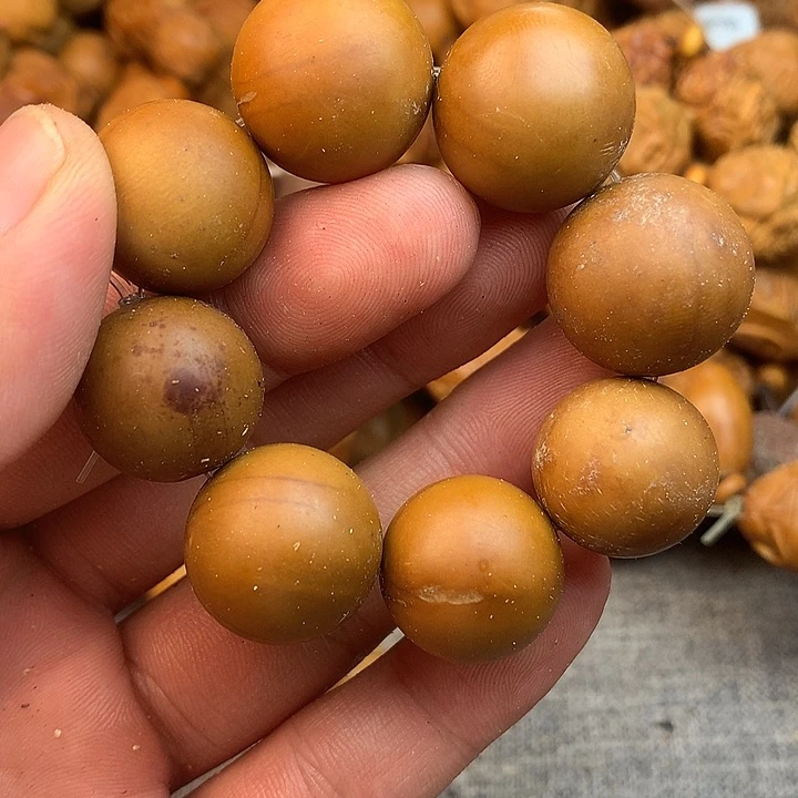橄榄核手串/手链精品橄榄核手串