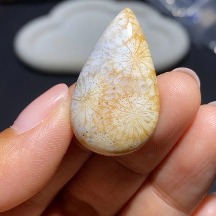 【闪购商品】未镶嵌珊瑚玉硅化玉