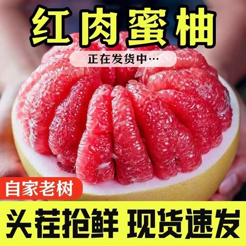 【多仓发货】2025年头茬老树红心蜜柚新鲜采摘皮薄肉厚清甜多汁dq