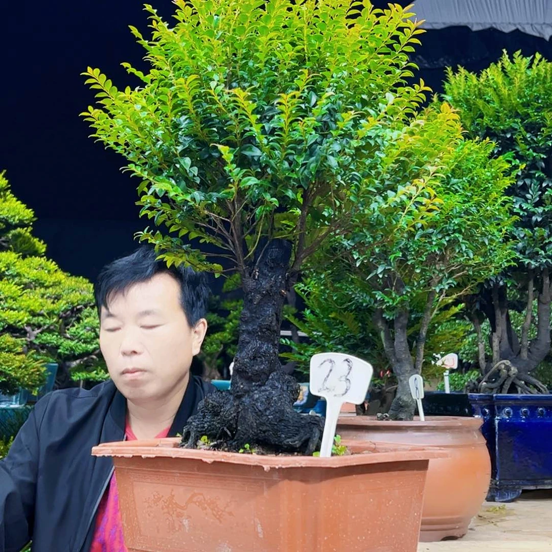 以实际为准嘟*嘟12345678