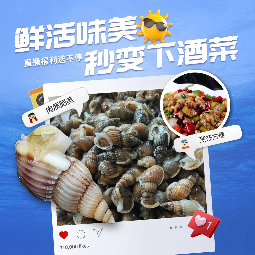 丹东东港鲜活海锥 3斤福利 顺丰包邮