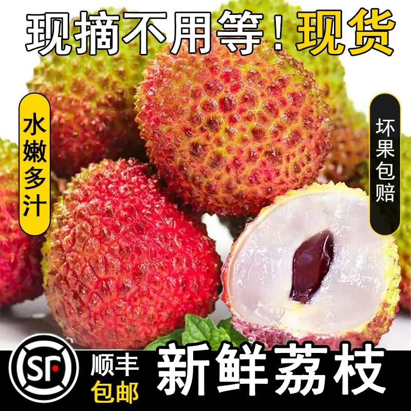 【顺丰冷运】现货新鲜荔枝正宗妃子笑荔枝大果果园现货现发顺丰包邮