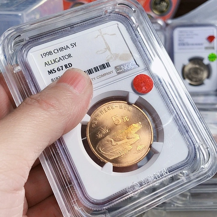 其他普通金属扬子鳄67铜