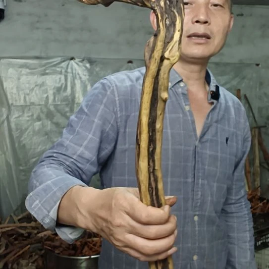 忘***y稳定木高山 檬子木文玩料高山 檬子木文玩料