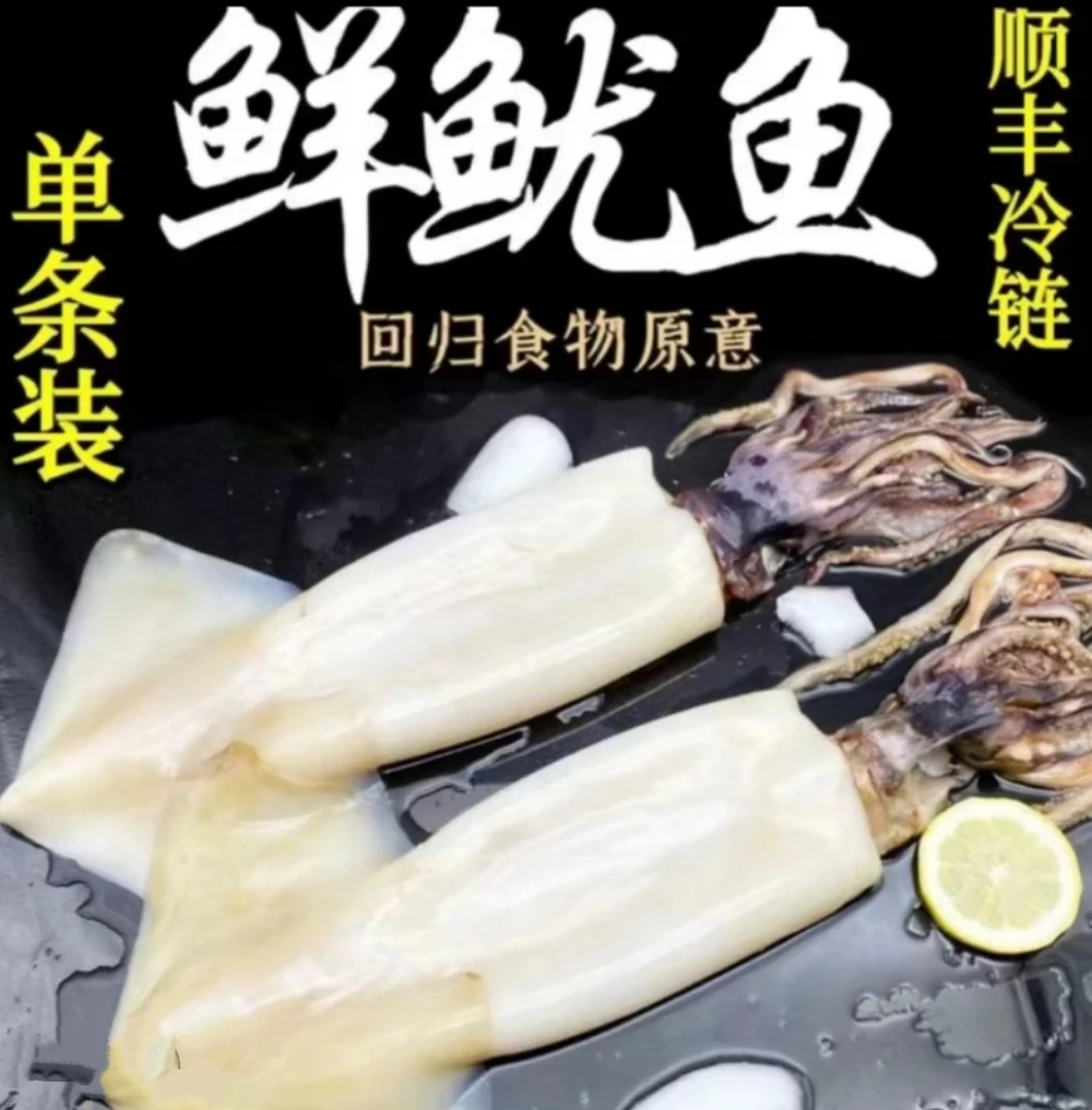 新鲜美味去皮去内脏大鱿鱼连云港发货免清理急冻锁鲜大鱿鱼生鲜