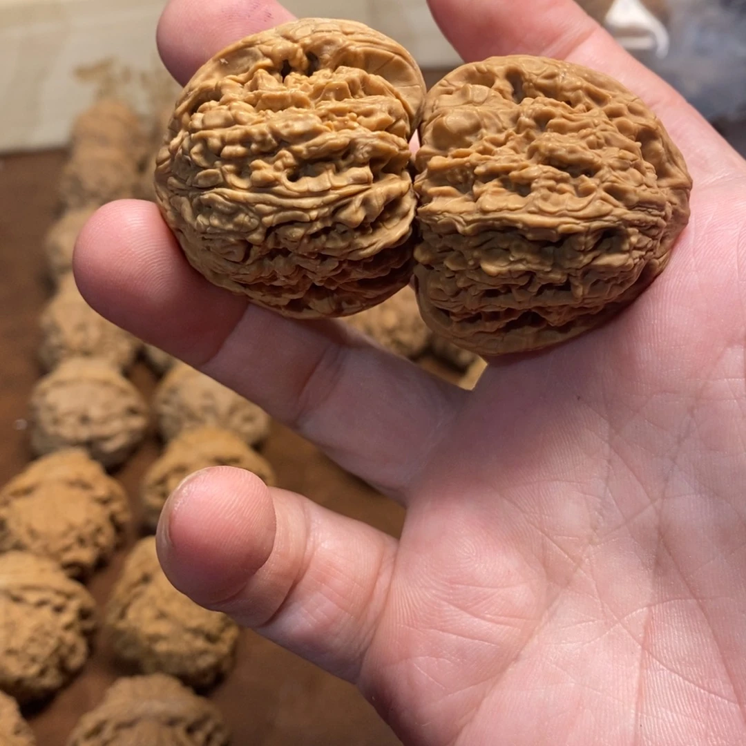阿***泽手串金刚菩提三角姜42