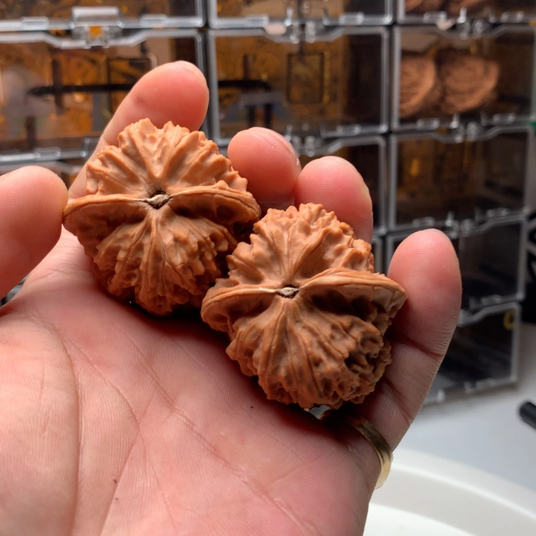 桃核把件未*木罗汉头 666888