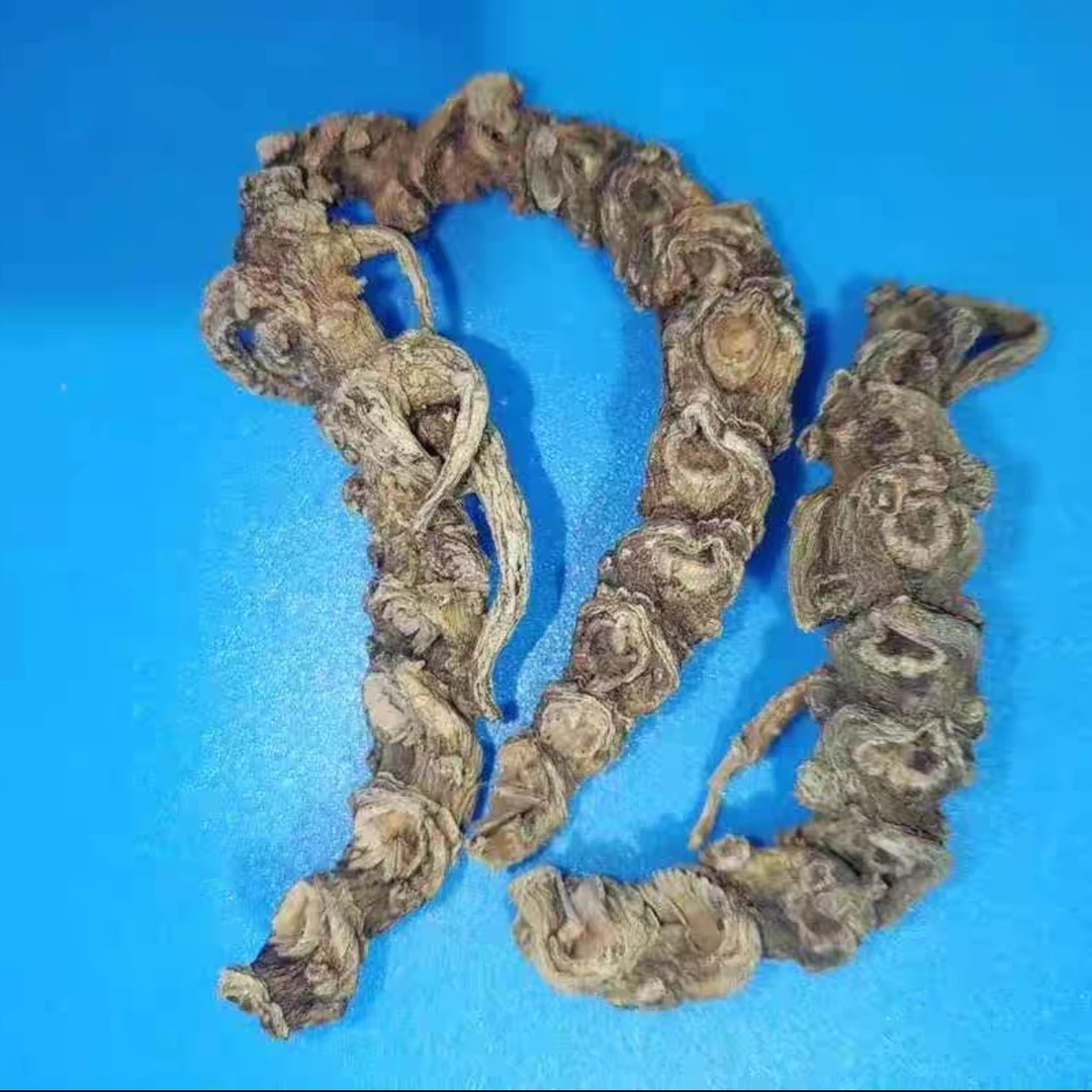 【藏区优质山货】峨眉大号天王参3