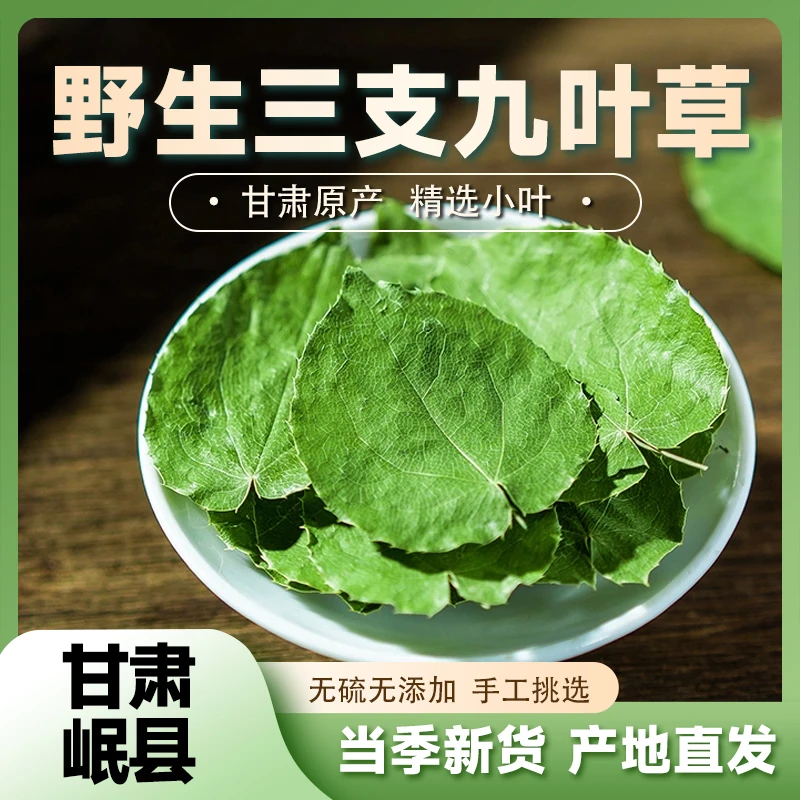 甘肃野生小圆叶纯叶三枝九叶草新货产地直发泡水泡茶泡8+1