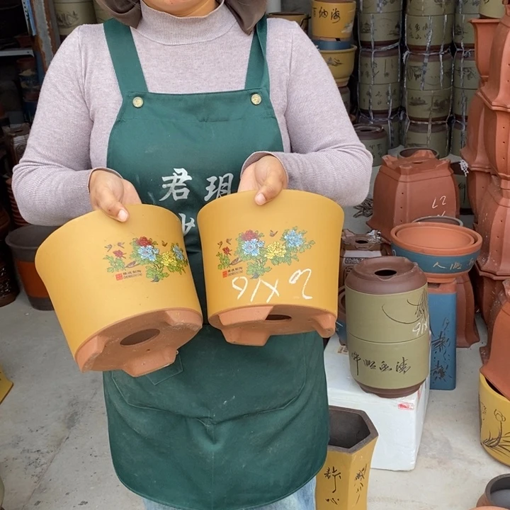 紫砂花盆盆栽花卉苗木种植