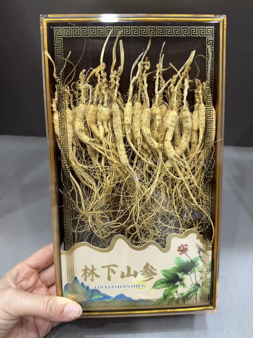 精品林下参礼盒配礼袋长白山人参泡水 伴手礼 煲汤 泡酒 自用实惠