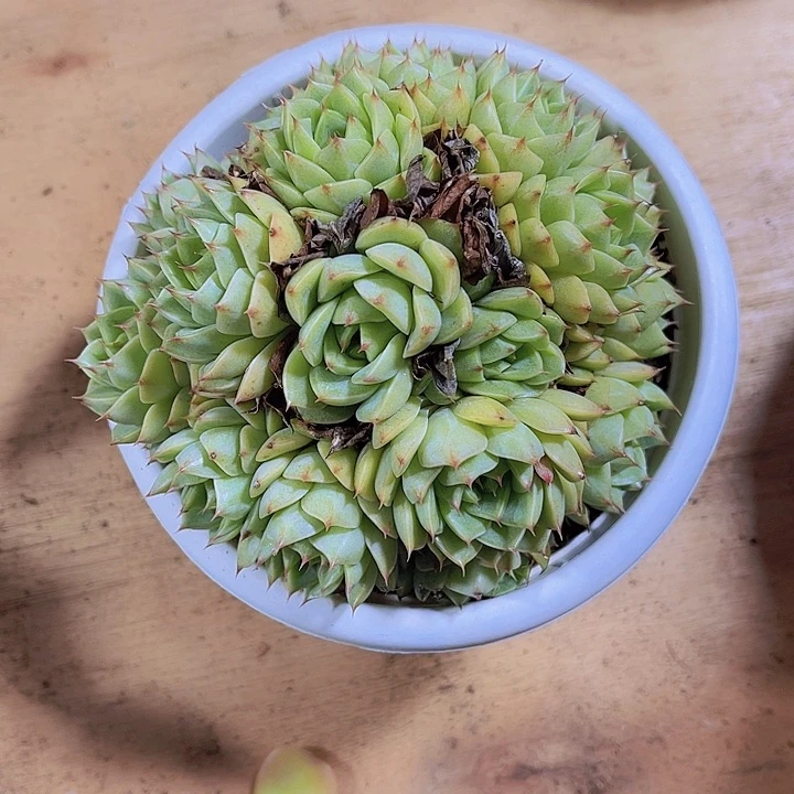 魔*00000000000000145