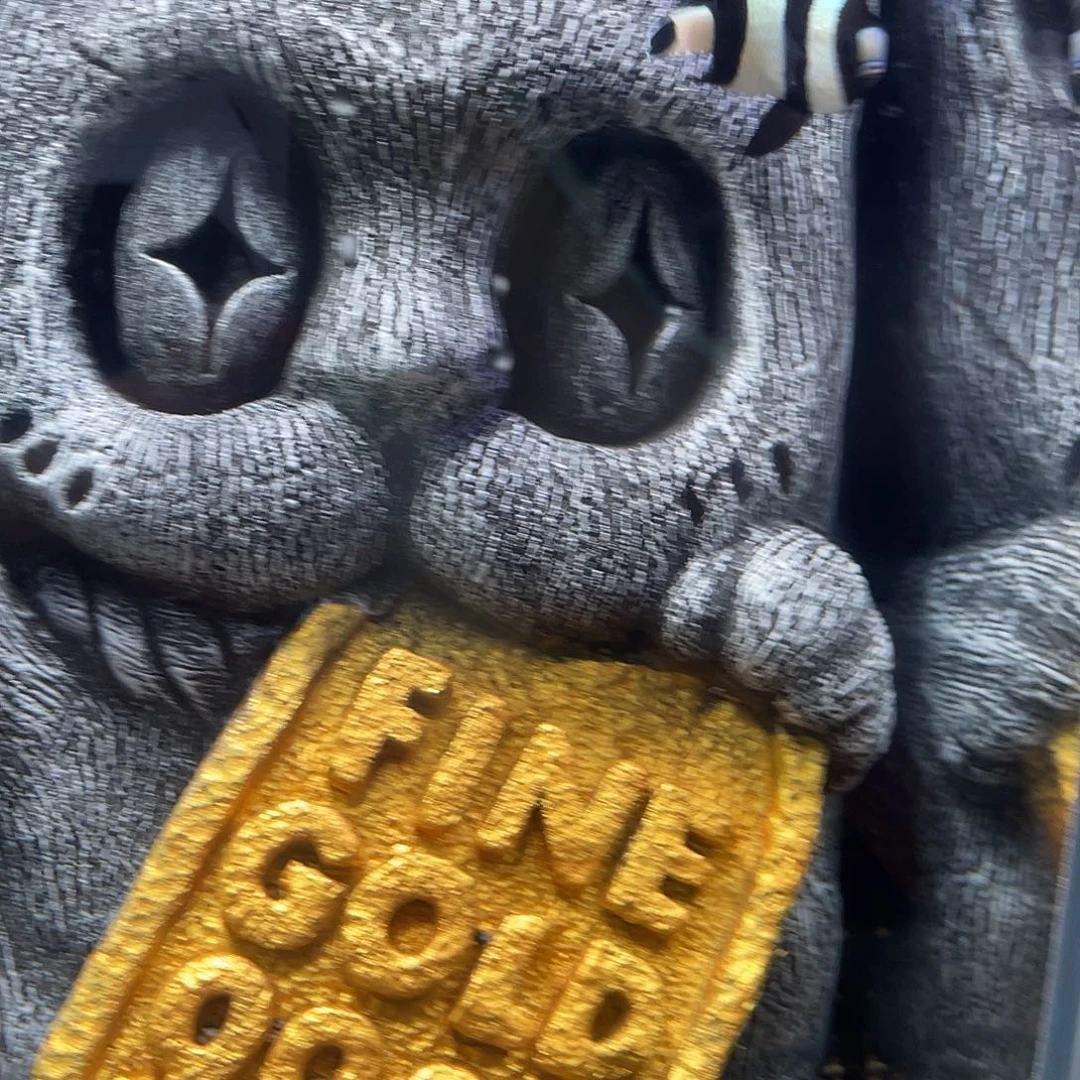 斗鱼008号海水鱼条纹