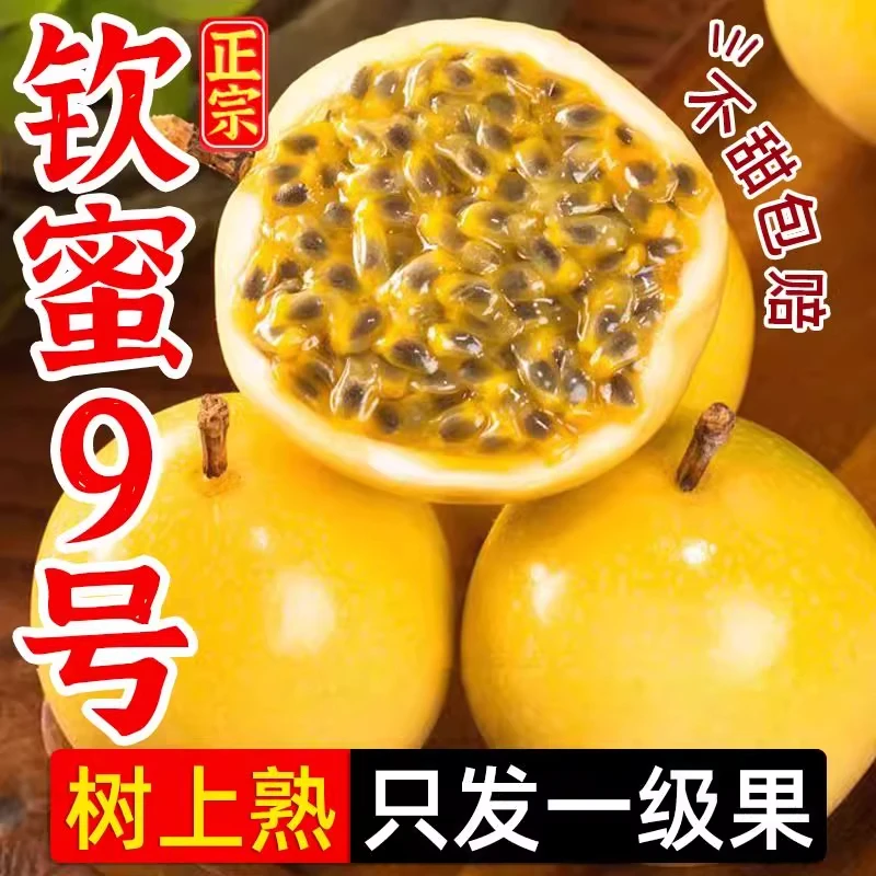 【头茬】现摘广西钦蜜9号黄金特大爆甜百香果10新鲜水果当季整包邮