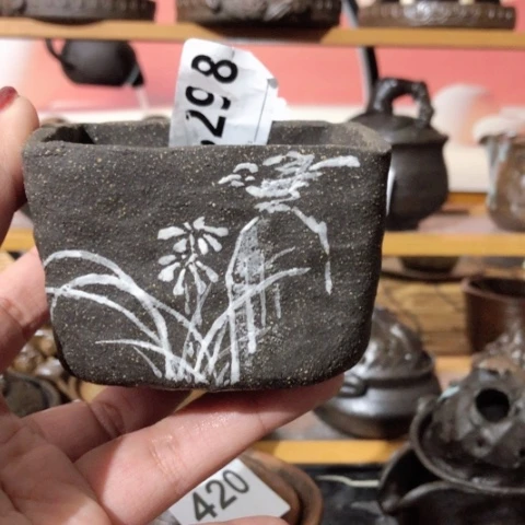 金*丽木有一点点的小姐姐