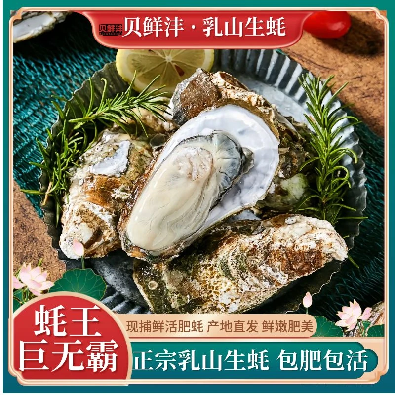 【巨无霸蚝王】贝鲜沣正宗乳山生蚝巨无霸5/10斤牡蛎乳山大生蚝新鲜