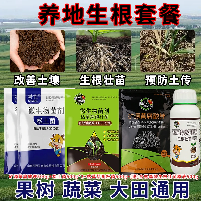 养地生根(送)含氨基酸生根壮苗原液微生物菌剂改良土壤生根壮苗