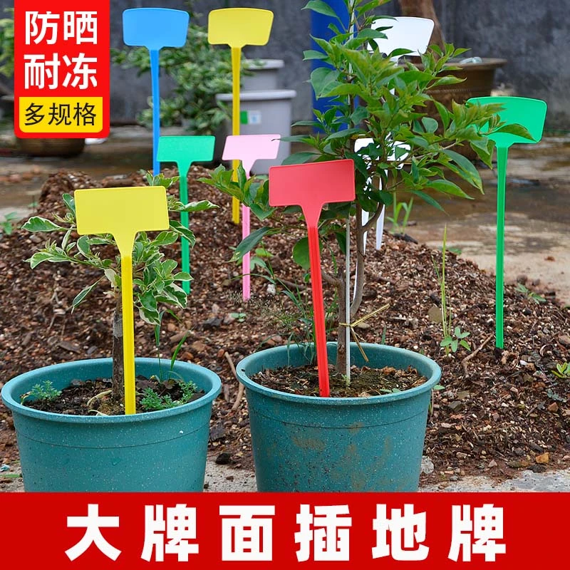 塑料加厚插地牌园艺花卉加厚大牌面塑料标牌可书写指示牌植物标签
