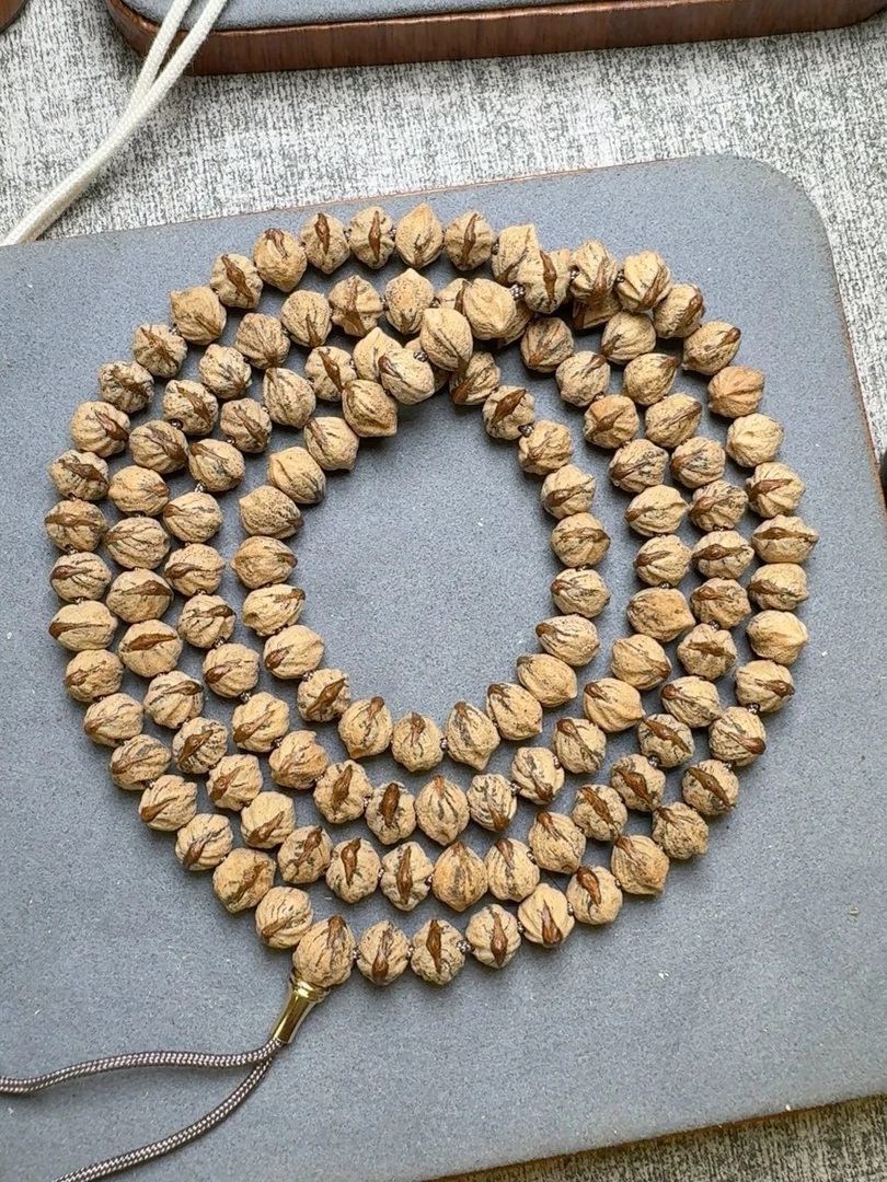 热振寺红芽烈焰红唇红皮标横打柏香籽百香籽长串