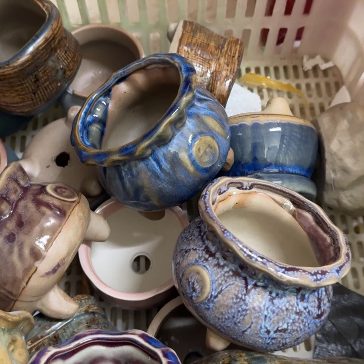 花盆花盆花盆花盆