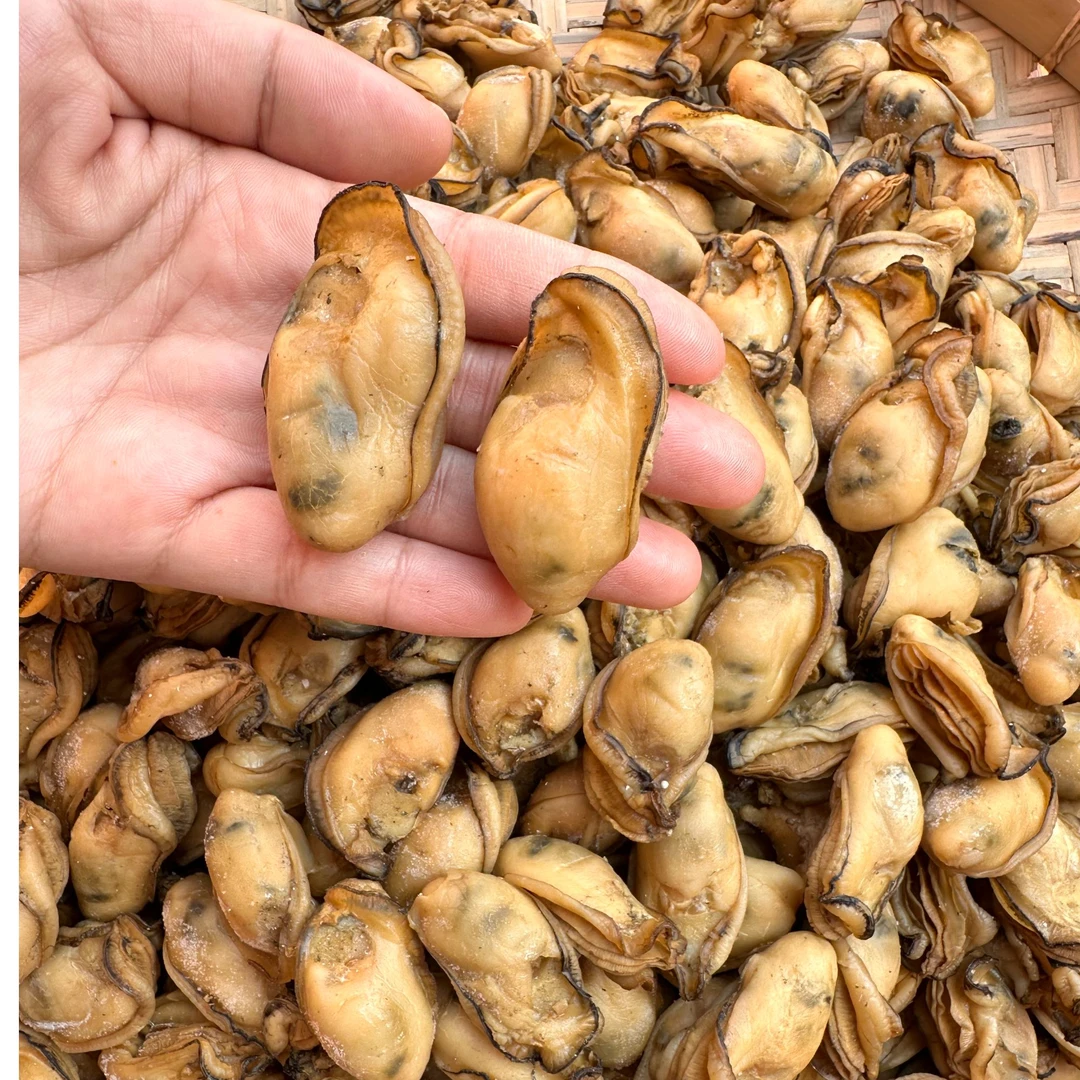 台山金蚝60头无抽油 六成干 香煎焖煮 250克/500克