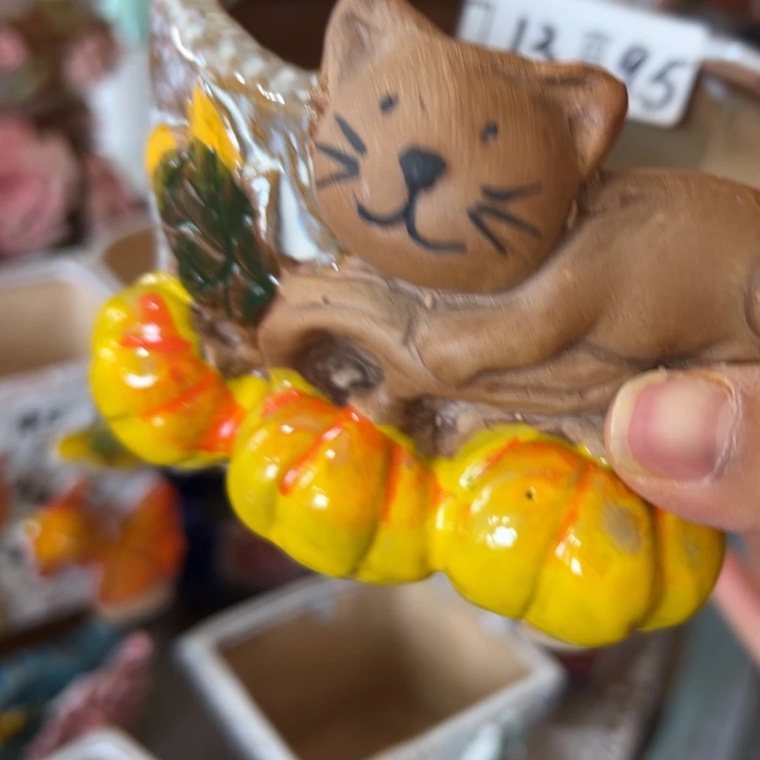 多肉花盆，满20米发货爱退款拉黑