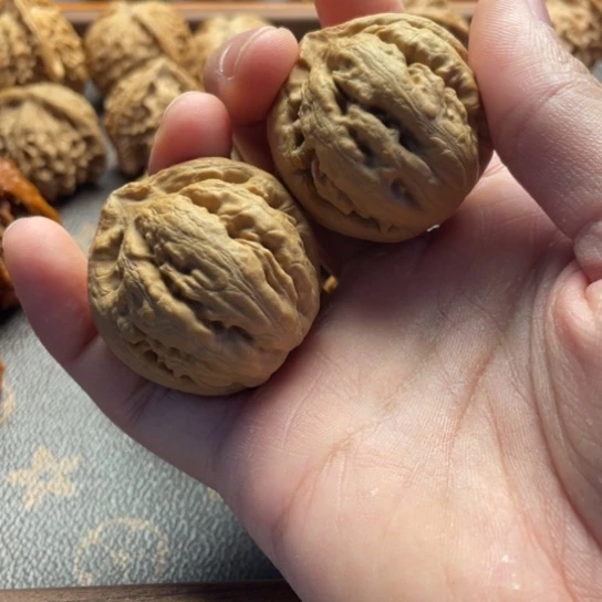 文玩核桃吊坠霸王龙