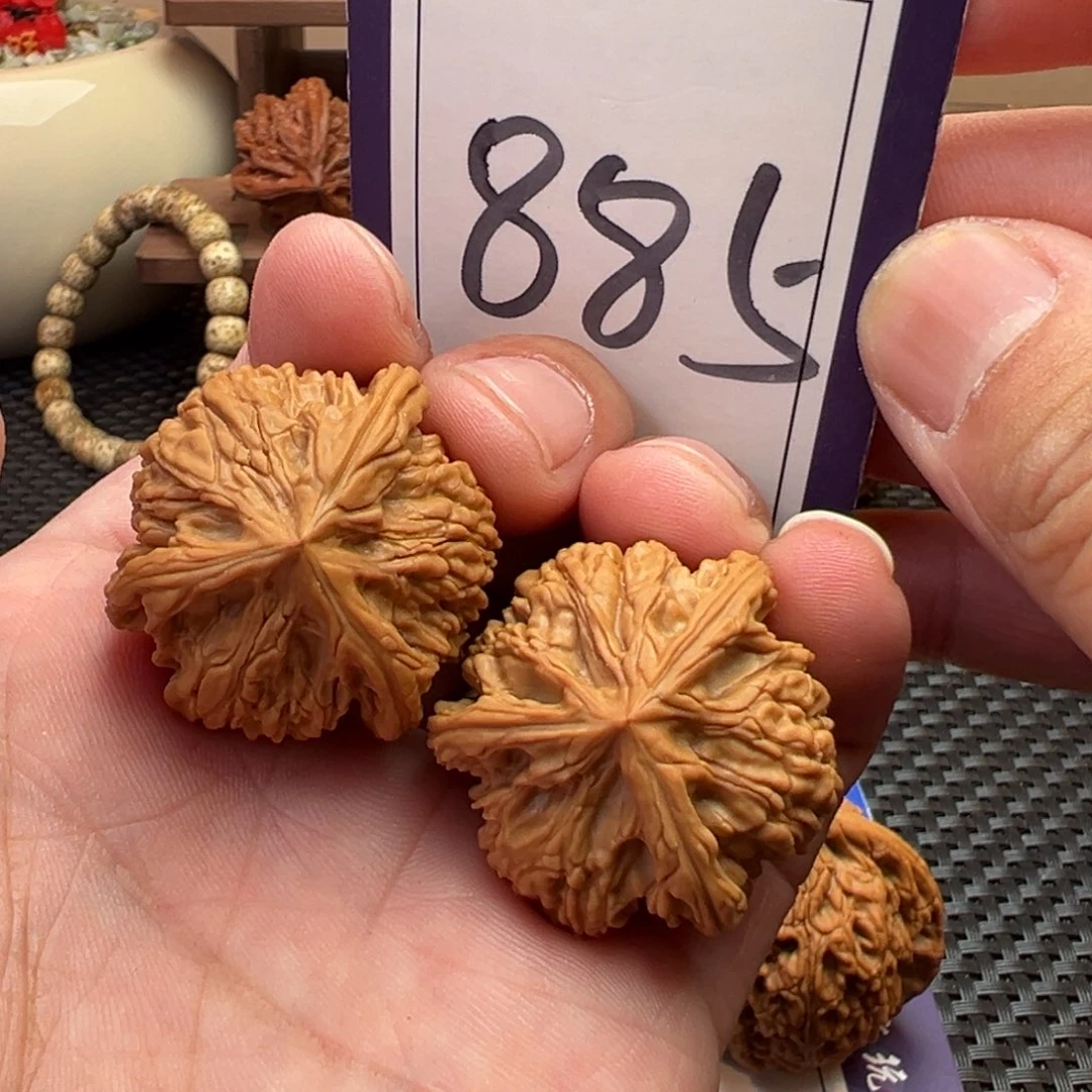 文玩核桃把件全品御龙粗筋34尺寸885号