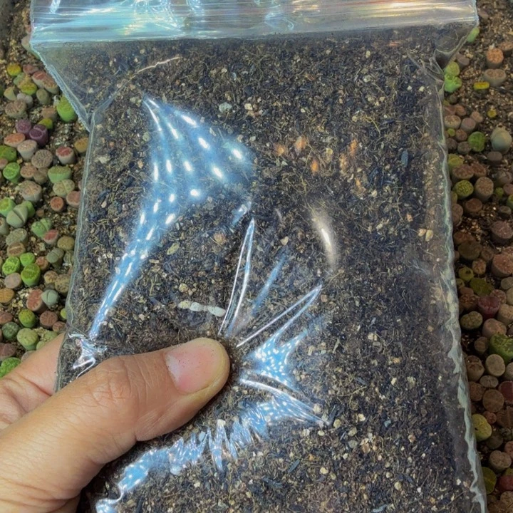 土土土土土土土土土