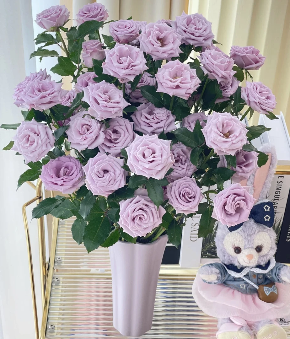 【小阿阮】A级多头玫瑰#九星蓝狐#花期长家庭鲜插花装饰 顺丰空运