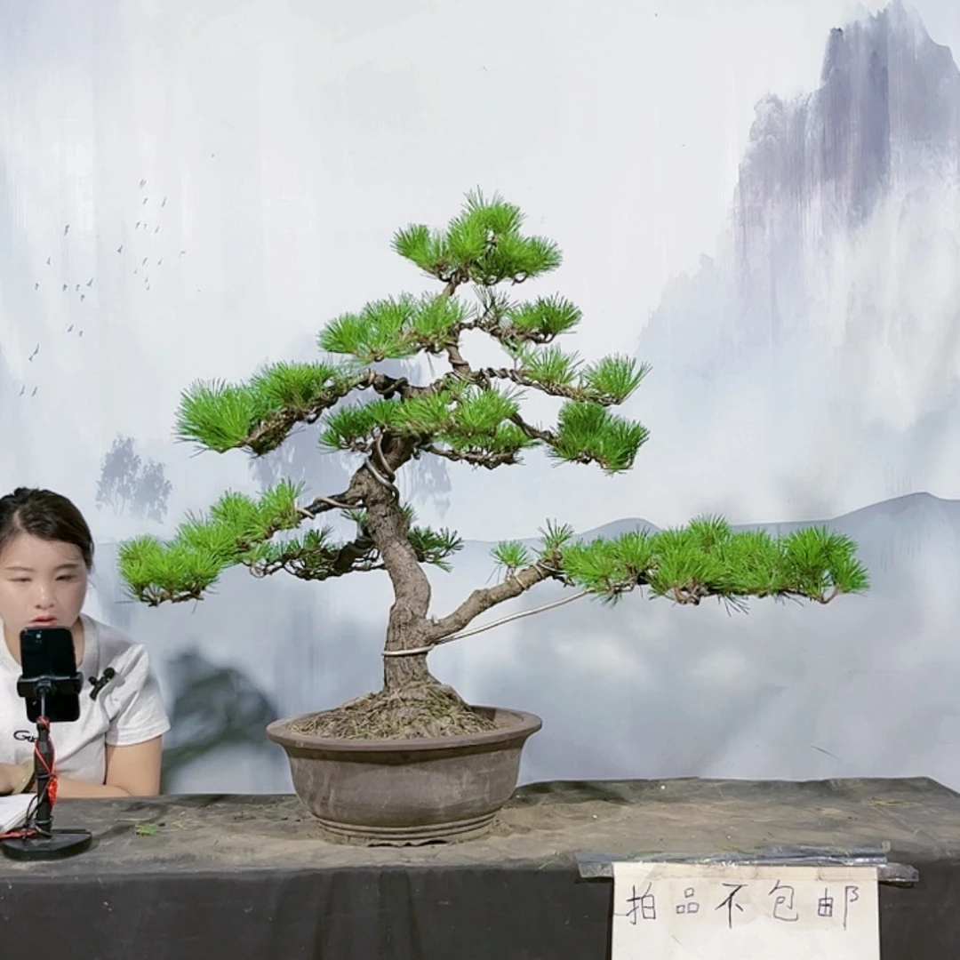 【闪购商品】无花朵运费到付1
