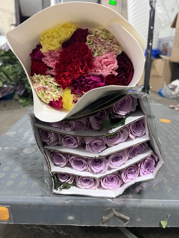 海洋之歌20支+混色康乃馨20支（套餐10支不售后）+营养剂