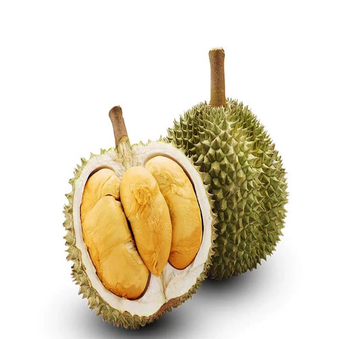 海南本地榴莲苗 黑刺榴莲苗 带土带叶 顺丰包邮