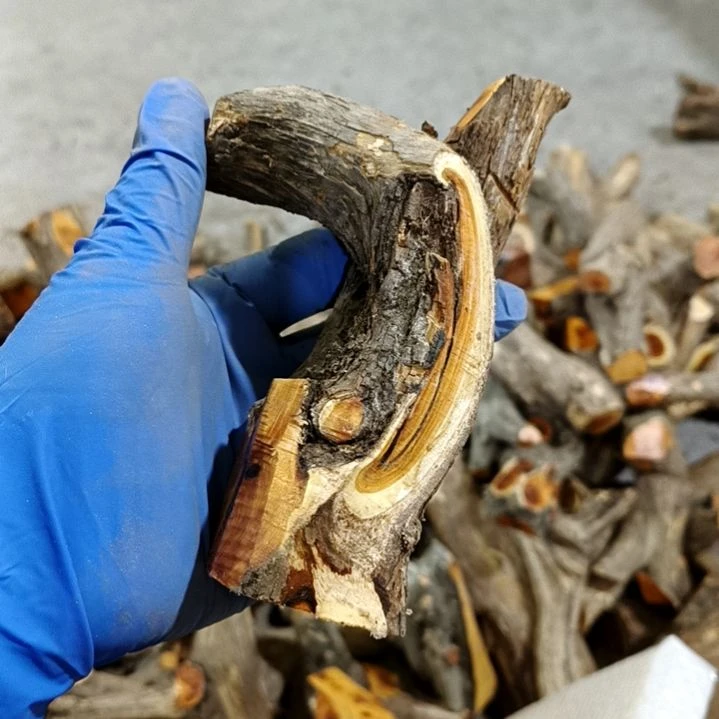 弓***师香榧木崖柏随行毛料毛料毛料