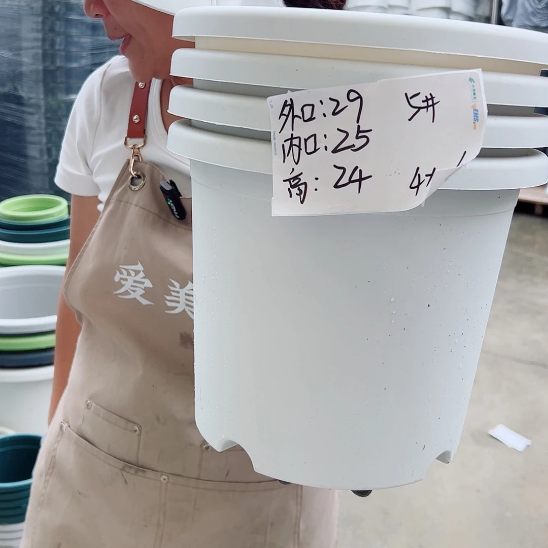 四季盆5#白色6个无托