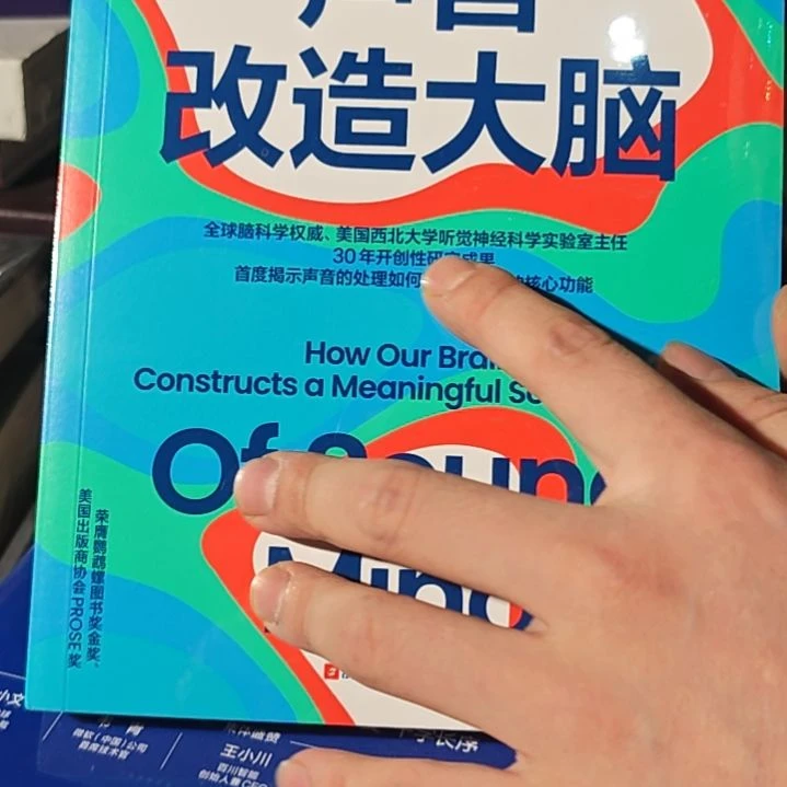 声音改造大脑平装库存书