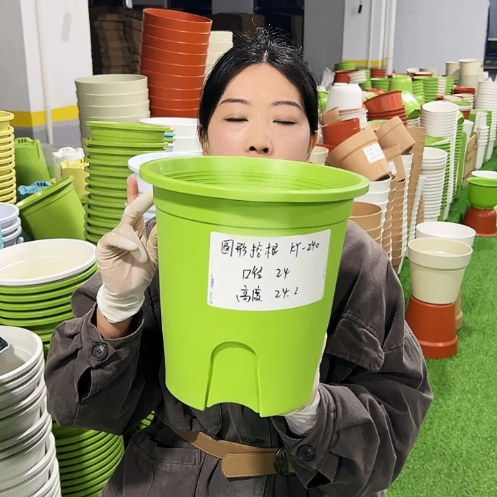 正品圆控口24高24果绿8支无托