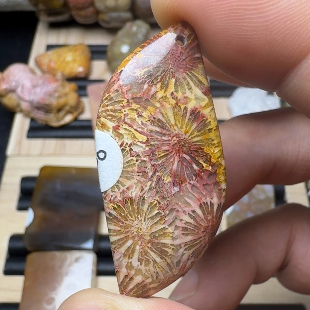 未镶嵌纯天然色有机玉石保真色硅化玉
