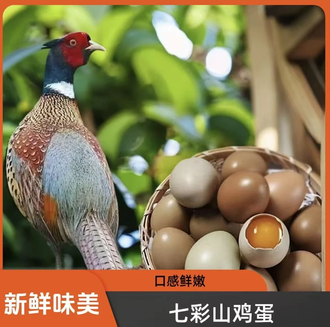 【山鸡哥专属】农家散养新鲜营养七彩山鸡蛋山林纯五谷喂养
