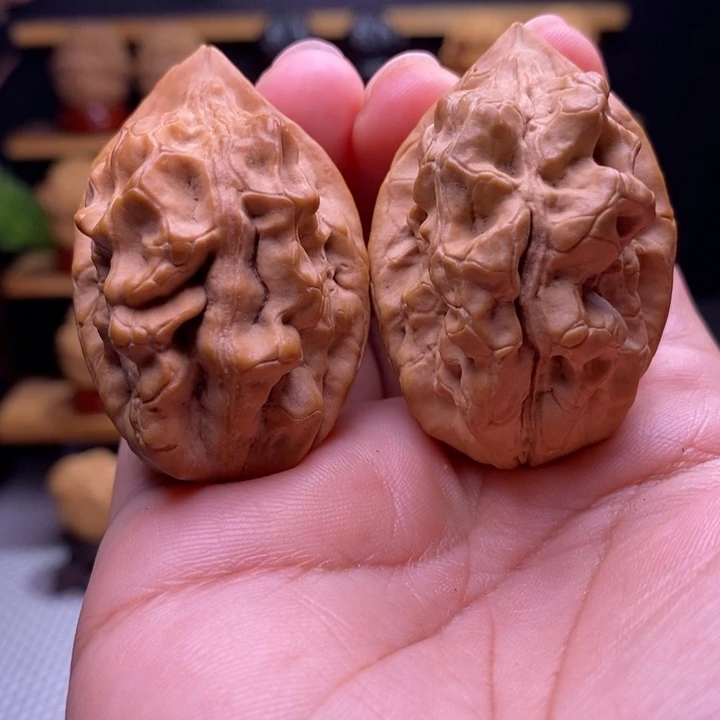 木质类云铁毒蝎子30号