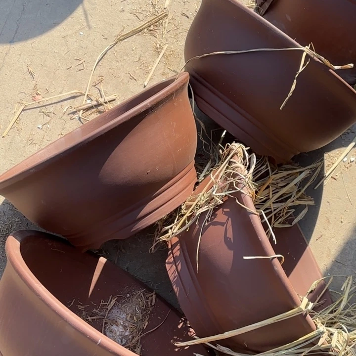 紫砂花盆              100-4