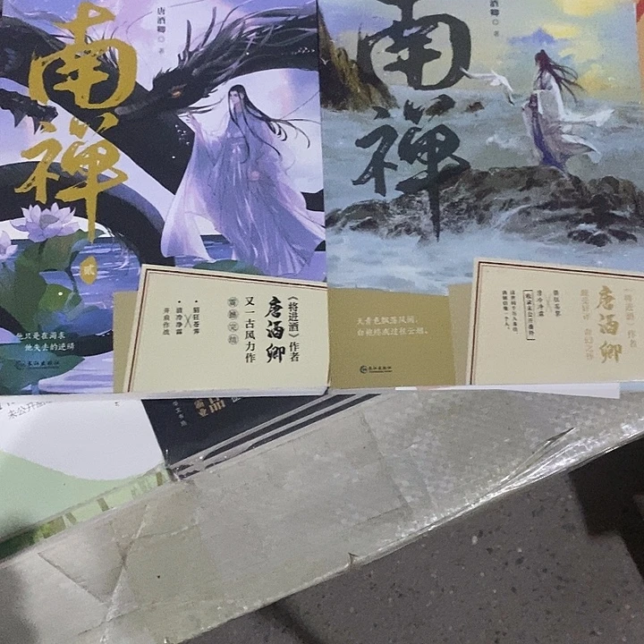 微瑕南禅 畅销文学