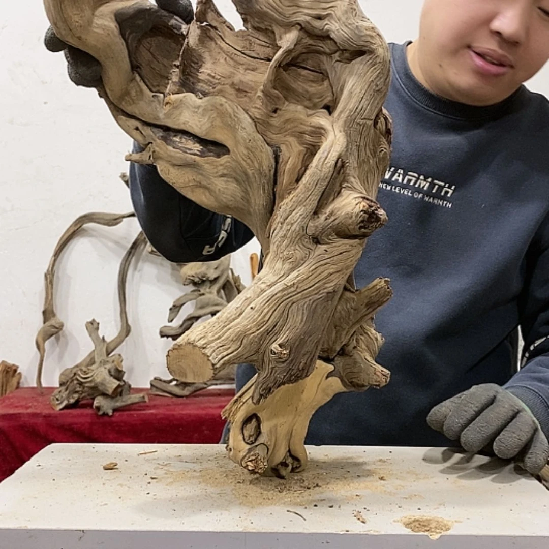 【闪购商品】柏木楚*离我们都是好孩子